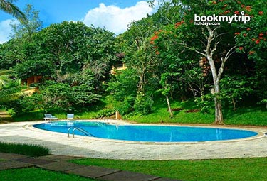 Bookmytripholidays | Abad Green Forest,Thekkady  | Best Accommodation packages